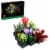 LEGO® Botanical Collection Succulents Building Set Perspective: front