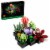 LEGO® Botanical Collection Succulents Building Set Perspective: front