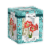 Minerva Amaryllis Flower Bulb Kit Perspective: front