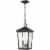 Z-Lite Beacon 2 Light 18  Clear Glass Aluminum Outdoor Pendant in Black Perspective: front