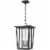 Z-Lite Seoul 2 Light Clear Glass Aluminum Outdoor Chain Mounted Pendant in Black Perspective: front