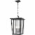 Z-Lite Seoul 2 Light Clear Glass Aluminum Outdoor Pendant in Bronze Perspective: front
