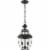 Z-Lite Westover 2 Light Clear Glass Brass Outdoor Chain Mounted Pendant in Black Perspective: front