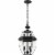Z-Lite Westover 3 Light Clear Glass Brass Outdoor Chain Mounted Pendant in Black Perspective: front