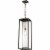Z-Lite Dunbroch Clear Glass Aluminum Outdoor Pendant in Deep Bronze and Brass Perspective: front