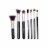 Zoe Ayla Professional Brush Set Perspective: front