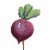 Home & Garden Vegetable Garden Marker Metal Stake Summer S22049 Beet Perspective: front