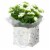 White Blooming Flowers in Birch Gift Box Perspective: front
