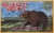 Big Sky Brewing Co.® Summer Honey Seasonal Ale Beer Perspective: front