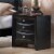 Bowery Hill 2 Drawer Nightstand with Tray in Black and Silver Perspective: front