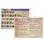 Ashley Productions Smart Poly 12  x 17  Constitution/Bill of Rights Learning Mat Perspective: front