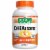 Botanic Choice  DHEAbsorb™ Memory Dietary Supplement Perspective: front