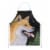 Carolines Treasures  SS8598APRON Shiba Inu Apron Perspective: front