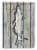 Carolines Treasures 8492GF Fish Catfish Garden Flag Perspective: front