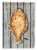 Carolines Treasures 8495CHF Fish Flounder House Flag Perspective: front