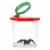 Plastic Transparent Bug Viewer Jar for Kids, with 3X Magnifying Lens,  Red and Green Perspective: front