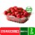 Fresh Organic Strawberries - 2 LB Clamshell Perspective: front