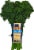 Mann's Broccolini Perspective: front