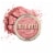 Milani Blossomtime Rose Powder Blush Perspective: front