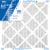 PuraFilter 2000® Pollen & Allergen Performance Air Filter Perspective: front