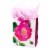Hallmark #63 Medium Gift Bag with Tissue Paper (Pink Rose) Perspective: front