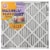 Arm & Hammer™ Maximum 16000 Allergen Air Filter Perspective: front