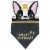 Ya Otta Party Animal New Year's Eve Pet Bandana Perspective: front