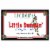 Lagunitas A Little Sumpin' Sumpin' IPA Wheat Ale Craft Beer Cans Perspective: front