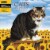 WSBL 2025 Cats™ Wall Calendar Perspective: front