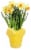 Potted Daffodil Perspective: front