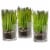 National Tree Company 3-Piece Sprout-Filled Glass Assortment Perspective: front