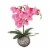 21 Potted Pink Orchid Flower Perspective: front