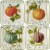 Tabletop Autumn Harvest Canape Plate Set Ceramic Thanksgiving Fall St/4 37250 Perspective: front