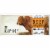 EPIC Habanero + Cherry Walnut Beef Bars Perspective: front