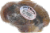 Natures Own Smoked Knuckle Bone Perspective: front