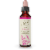 Bach Elm Flower Essence Perspective: front