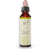 Bach Olive Flower Essence Perspective: front