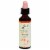 Bach Rock Rose Flower Essence Perspective: front