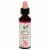 Bach® Sweet Chestnut Flower Essence Perspective: front
