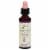 Bach® Original Flower Remedies Water Violet Perspective: front