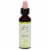 Bach® Wild Rose Flower Essence Perspective: front
