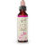 Bach Willow Flower Essence Perspective: front