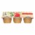 Santa Cruz Organic Apple Sauce - Case of 12 - 4 oz. Perspective: front