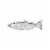 Stainless Steel Trout Flask by Foster & Rye™ Perspective: front