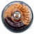 Jimmy's Cookies Gourmet Cookie Platter Perspective: front