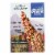 Andean Dream Gluten Free Organic Macaroni Quinoa Pasta - Case of 12 - 8 oz. Perspective: front