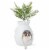 Smart Plant Cat Litter Box with Electronic Odor Removal System - Stylish & Innovative Perspective: front