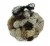 Neutral White Decorative Mushroom Mix Assorted Dried Botanicals In a Bag Perspective: front