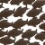 Attractive Metal Fish Wall Decor In Bronze- Saltoro Sherpi Perspective: front