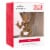 Hallmark Marvel Guardians of the Galaxy Little Groot Christmas Ornament Perspective: front